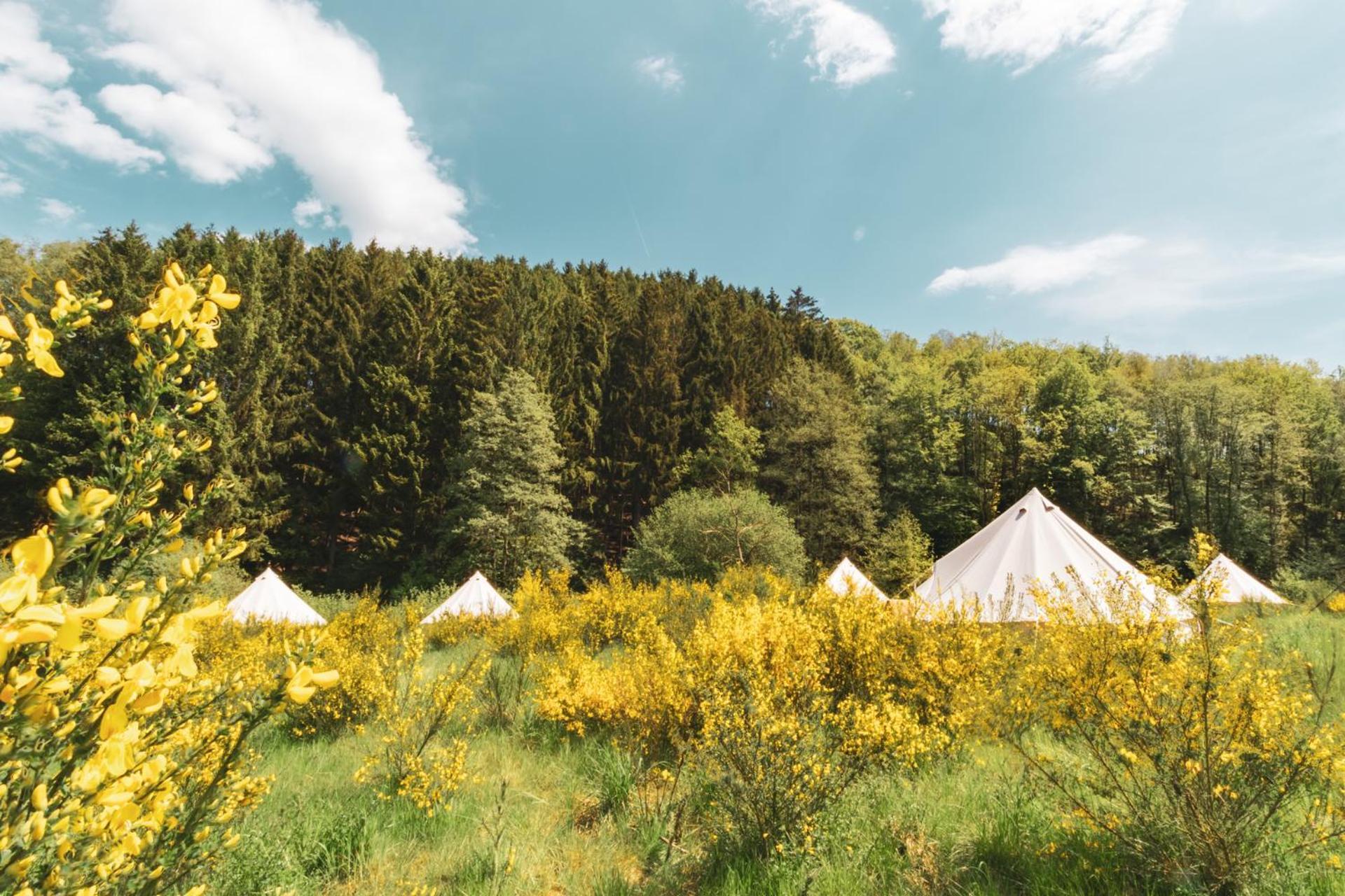 Daft Hotel & Glamping Malmedy Exterior foto